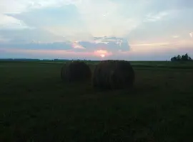 IMG_20180721_211048.webp