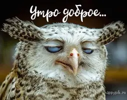 s-dobrym-utrom83_happypik.ru_.webp