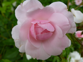 SAVE_20190617_200043.webp