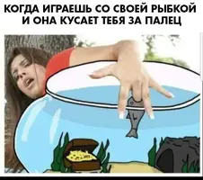 hEvTBlAttRI.webp
