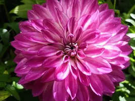 IMG_20190619_121946.webp