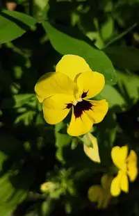 IMG_20190619_121956.webp