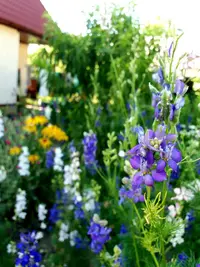 изображение_viber_2019-06-19_16-30-36.webp