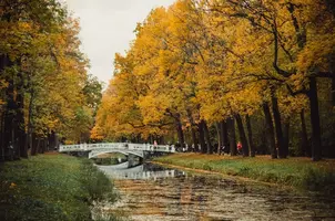 7fhbj36Cj20.webp