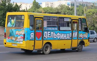 2021474.webp