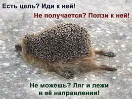 IMG-20190619-WA0013.webp