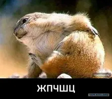 DE2D4057-9DF2-448B-ACE9-061D21B76D60.webp