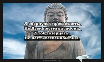 дзен.webp