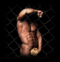89080978080.gif