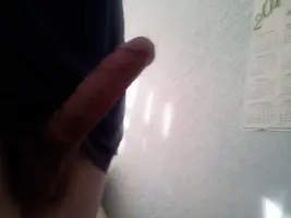 173.webp
