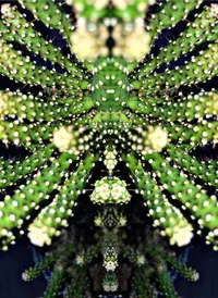 871EFEFD-B0FD-4255-8587-AB99888EB9AE.webp