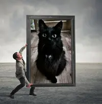 oMrgE5x_w70.webp