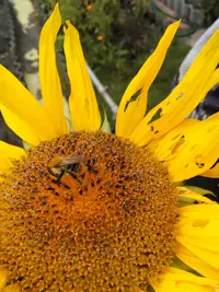 IMG_20150906_111553.webp