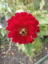 IMG_20160925_120247.webp