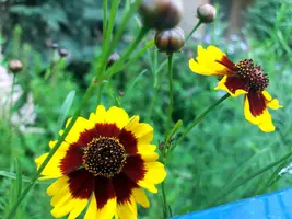 20190622_132230-2508x1881.webp