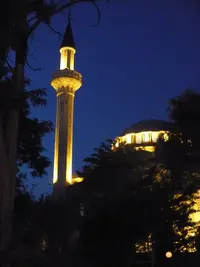 P1030413.webp