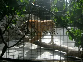 IMG_5664-1-2736x2052.webp