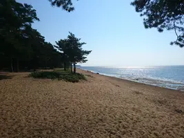 2018-07-17 10-34-20.webp