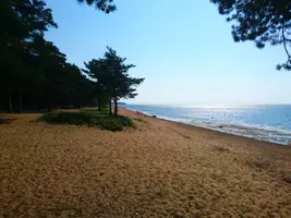 2018-07-17 10-34-20.webp