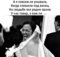 78D146E9-0B75-437D-B656-270187D4E18A.webp