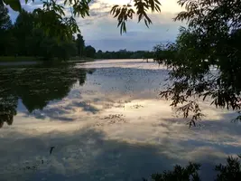 IMG_20190623_202001_HDR.webp