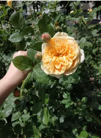 Screenshot_2019-06-23-23-06-07-988_com.miui.gallery.webp