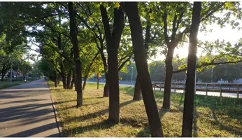 Screenshot_2019-06-23-23-08-03-606_com.miui.gallery.webp