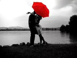 91A8AB20-640B-447E-B523-EBAFEE2E9F45.webp