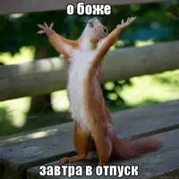 ikvz36.webp