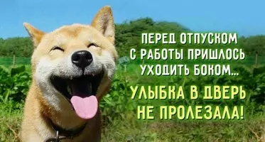 1343B1FA-10B5-419A-BF58-8D8332BE9BFA.webp