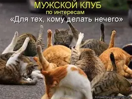 B9A7E934-886F-4983-9C32-42C2C7E77110.webp