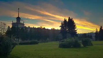 LomIWLillL8.webp
