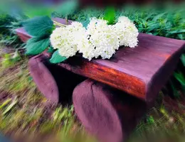 63ED01A3-DC84-4225-9A6D-777163D704BC.webp