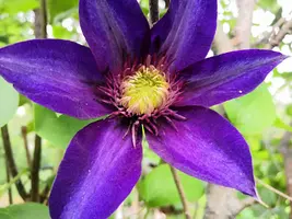 IMG_20190701_152532.webp