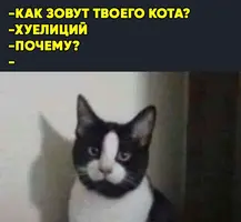 IMG-20190702-WA0000.webp