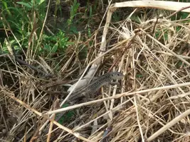 20190703_182954-3096x2322.webp