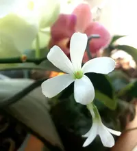 20190705_153200-1881x2073.webp