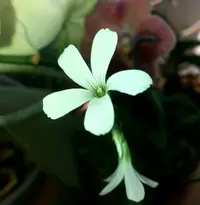20190705_153220-1881x1921.webp