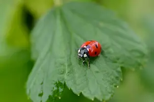 _DSC9394_2.webp