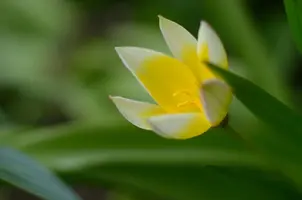 _DSC8830.webp