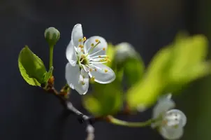 _DSC8796.webp