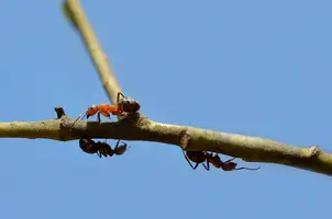 _DSC8008.webp