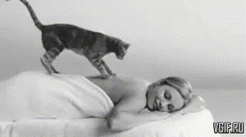 ED7EC637-2AAC-4265-ACED-48244635E15D.gif