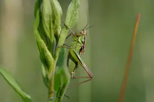 _DSC4191.webp