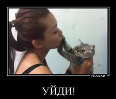 A85C24EC-2A22-4D05-B973-A75977FF8E8B.webp