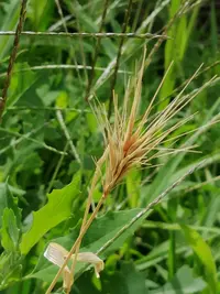 IMG_20190707_140245-2592x3456.webp