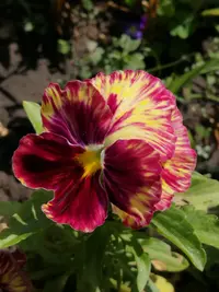 IMG_20190707_122047-2592x3456.webp