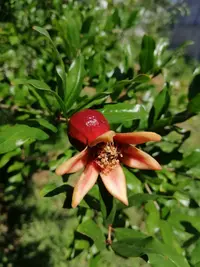 IMG_20190707_120840-2592x3456.webp