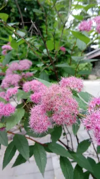 IMG-20190709-WA0017.webp