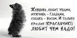 715582CE-29AF-4B56-9812-A8B32A3BEC3D.webp